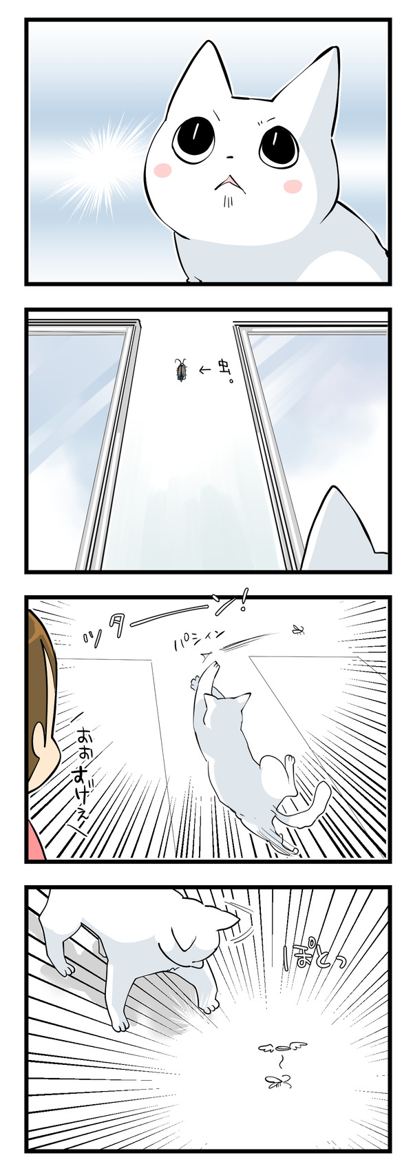 虫