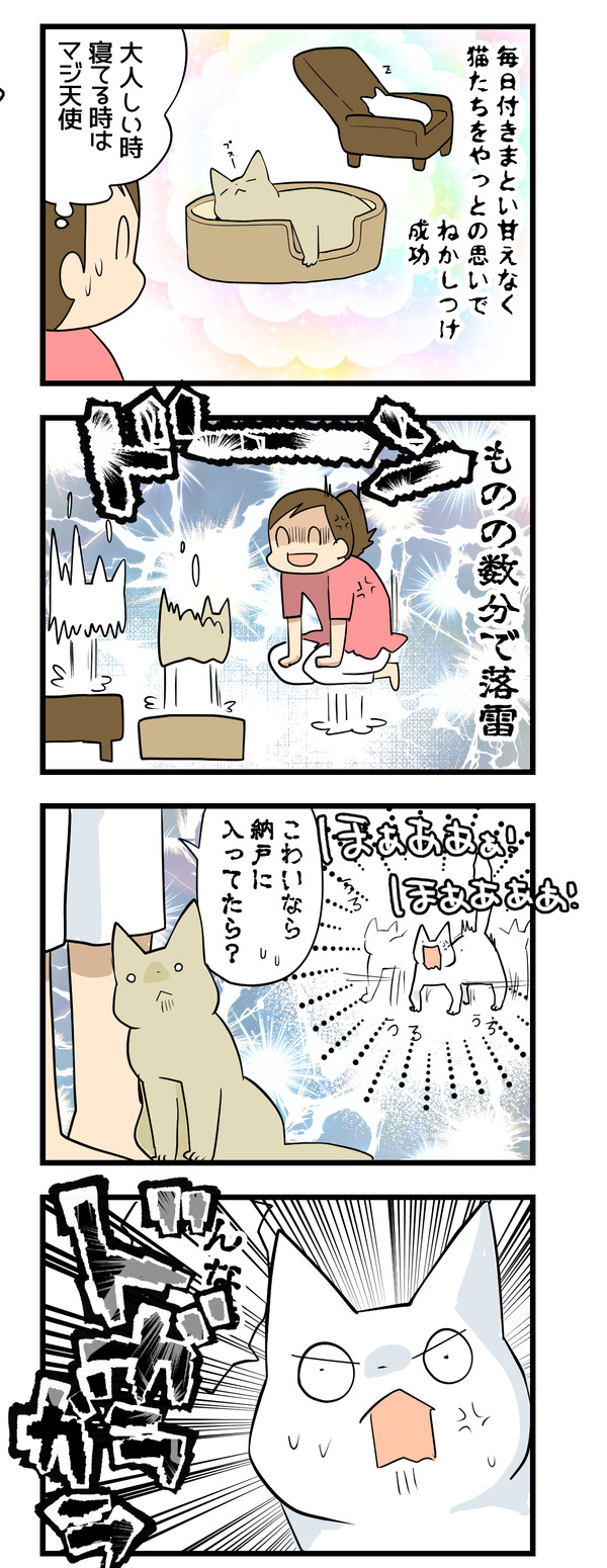 自然VSボク