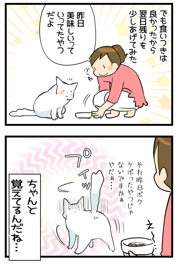 試供品2