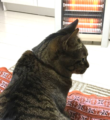 キャプチャ