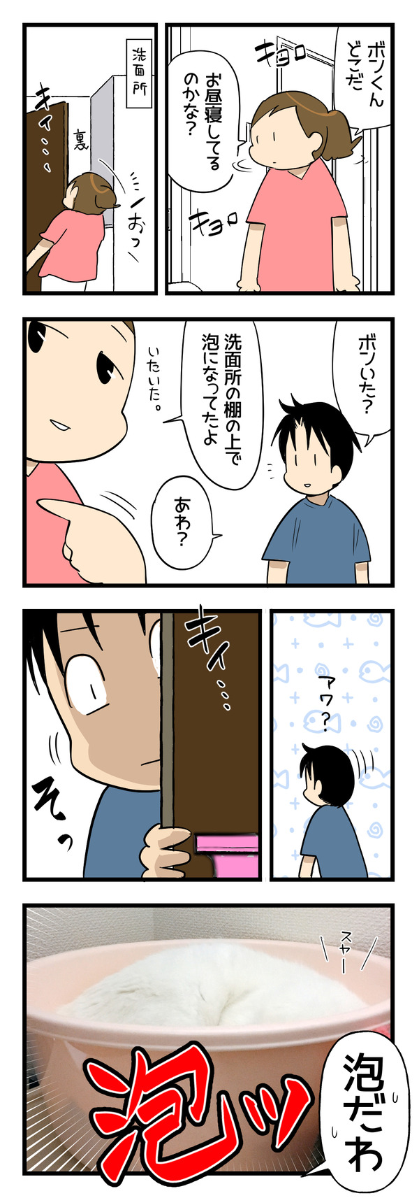 泡