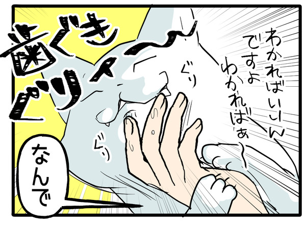 猫の歯みがき2