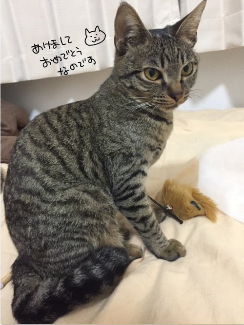 キャプチャ