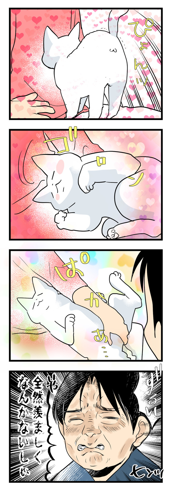 猫たちの変化3