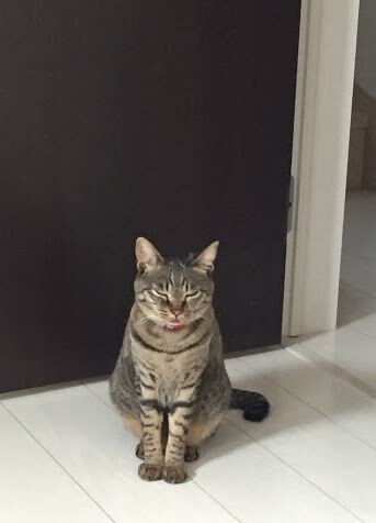 キャプチャ2