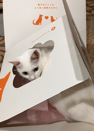 絵日記サムネ