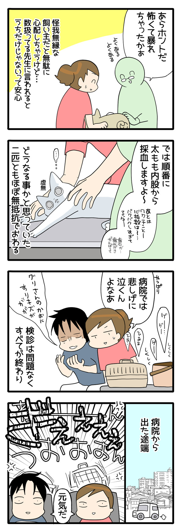 猫の健康診断7