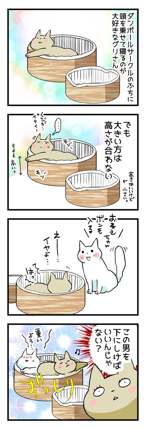 キャットサークル
