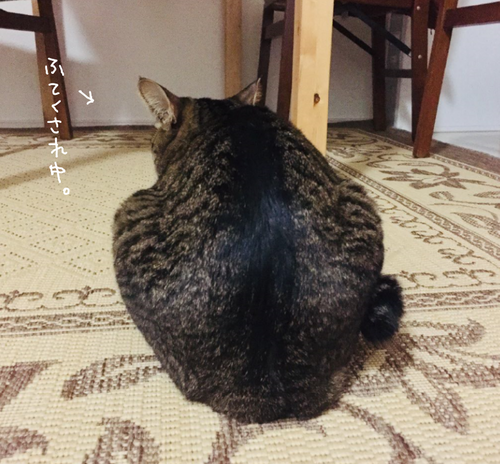 キャプチャ