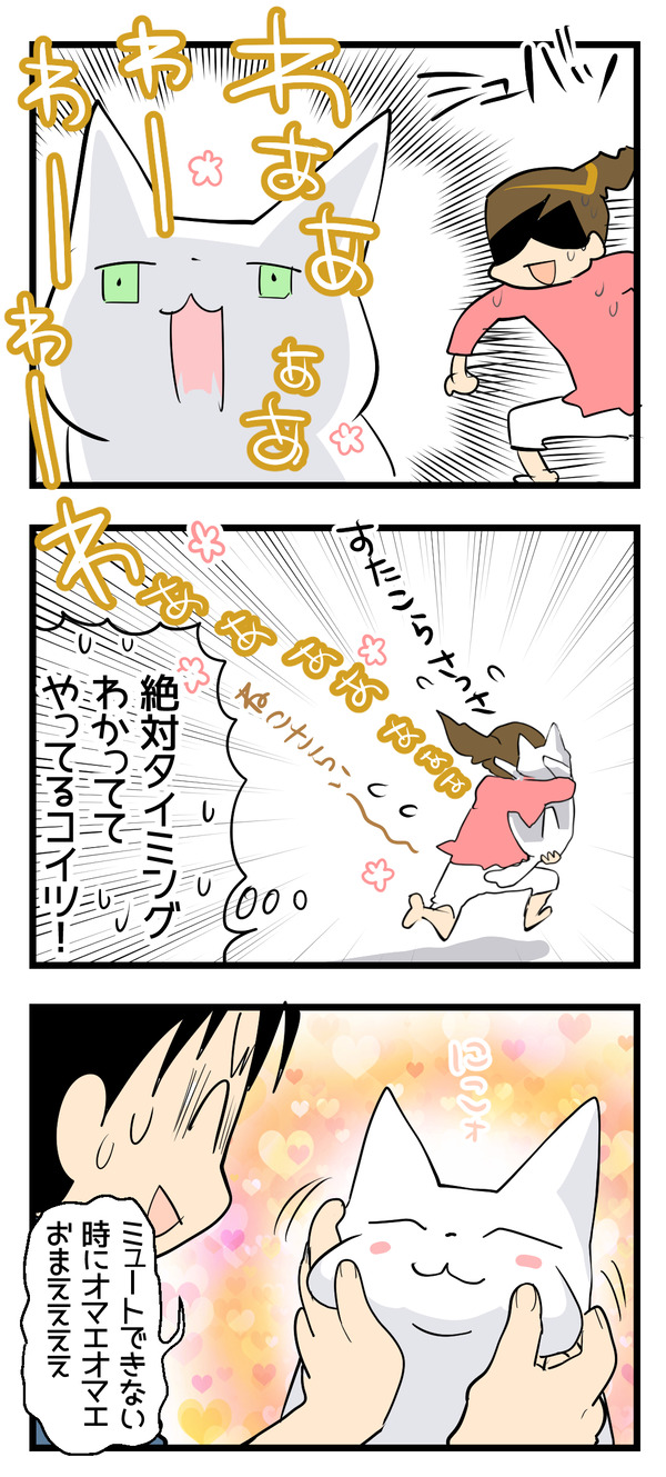 猫もテレワークになれる2