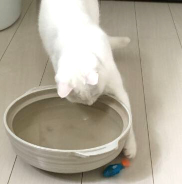 キャプチャ4