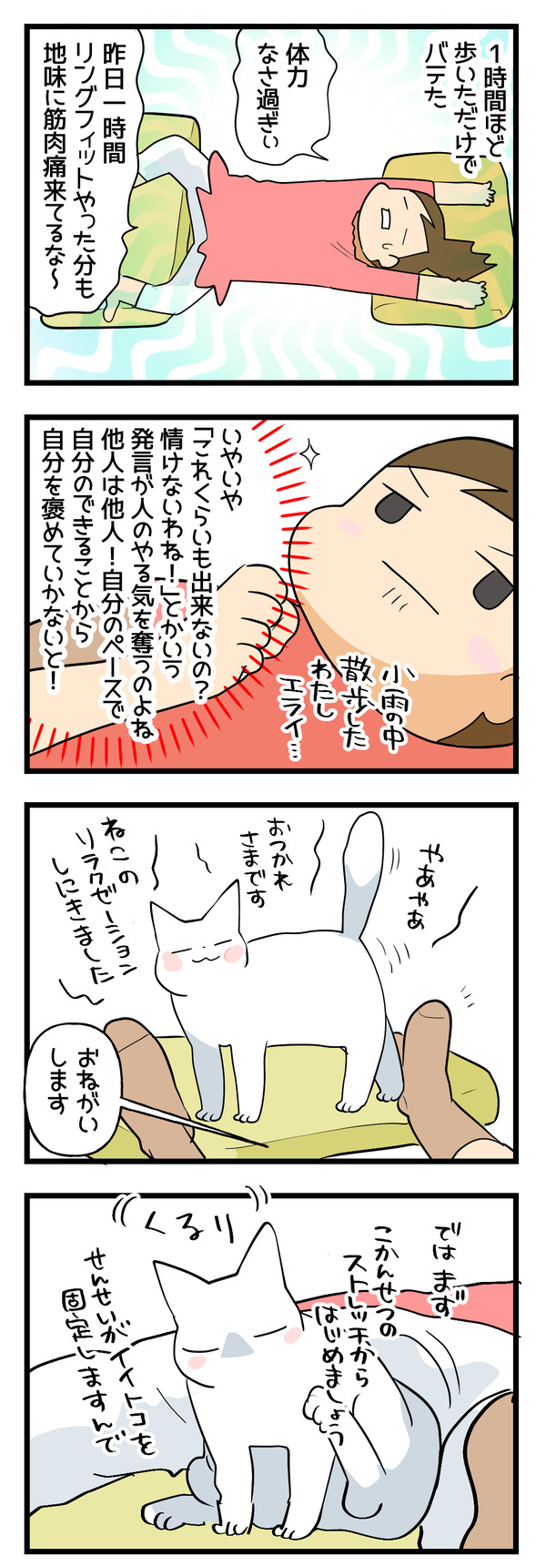 ネコトレーナー