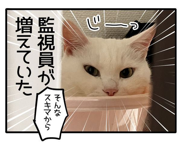 スキマから愛をこめて2