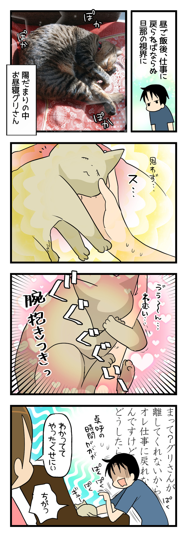 もどれない！