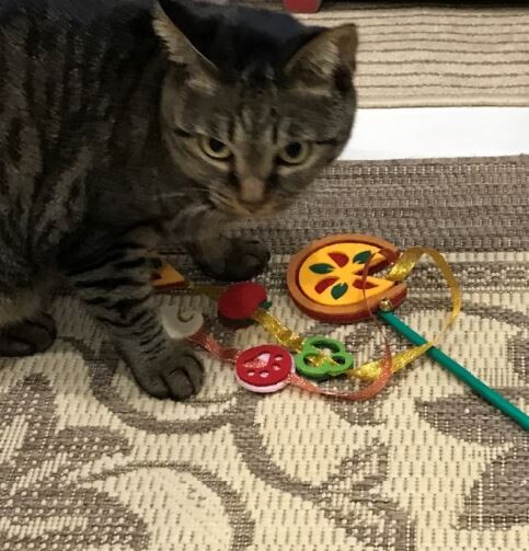 キャプチャ