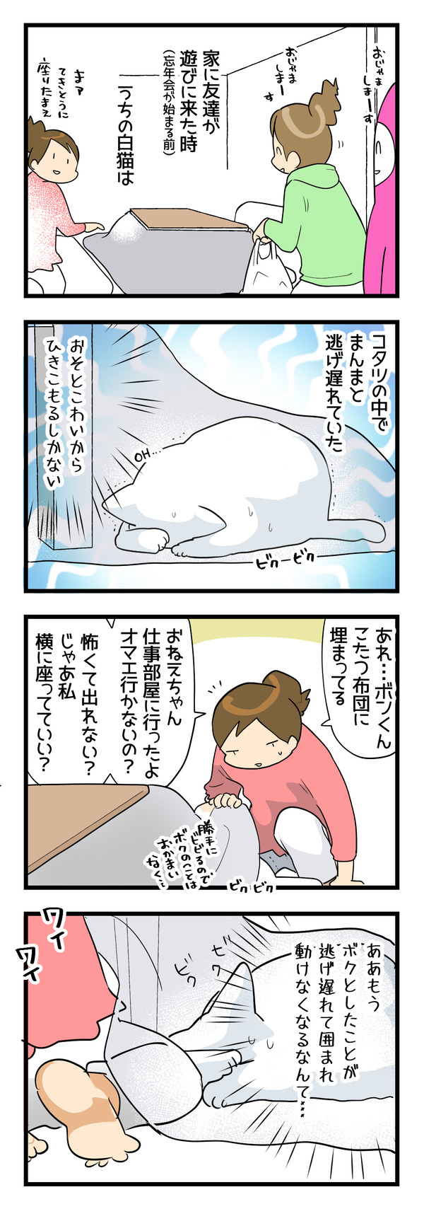 忘年会の時の猫