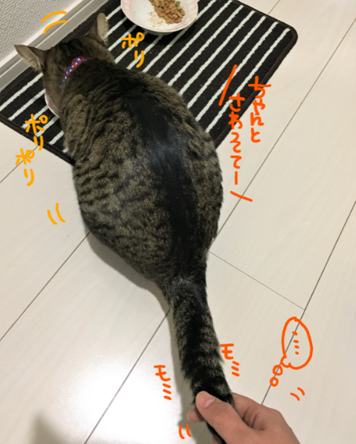 キャプチャ