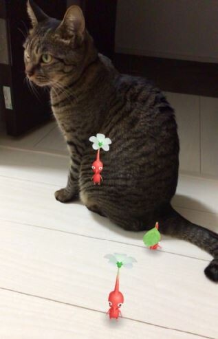 キャプチャ
