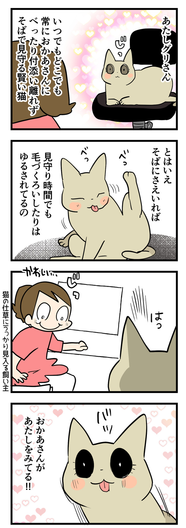 忠犬猫3