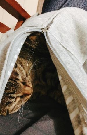 キャプチャ