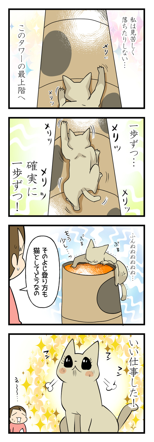 猫の運動神経4