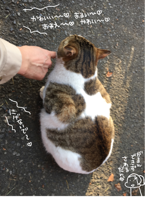 キャプチャ