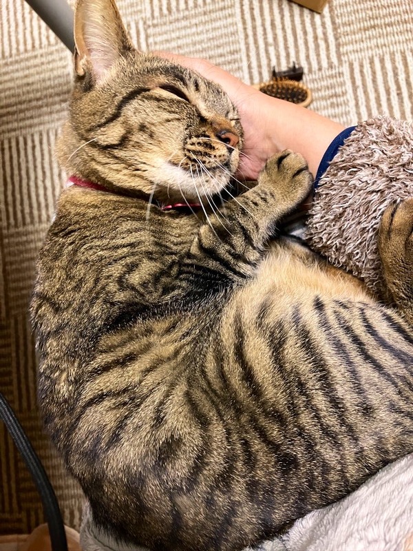 ぎゅっ
