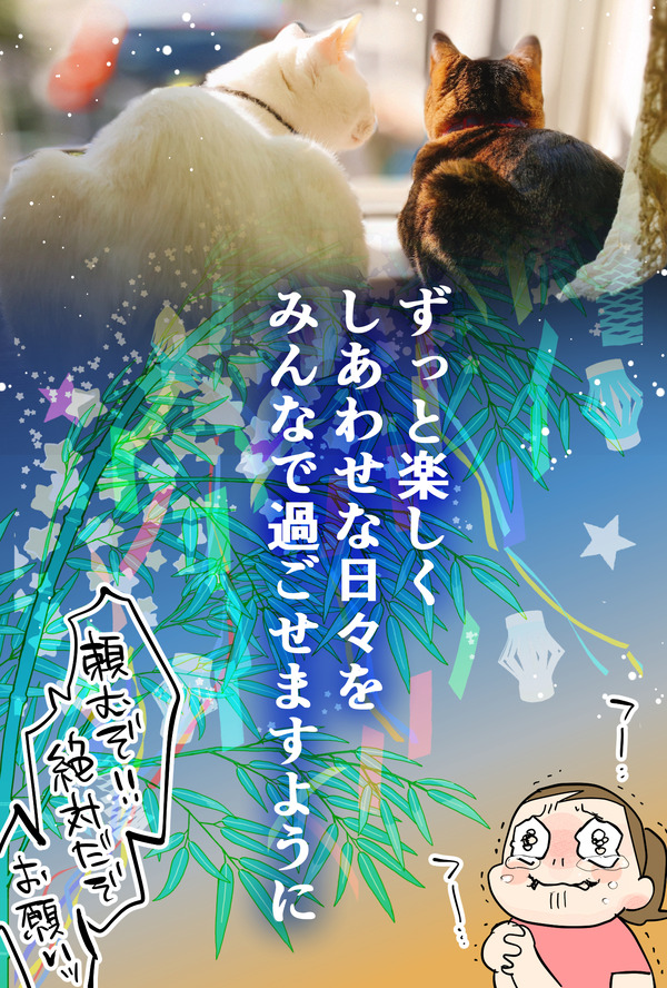 七夕3