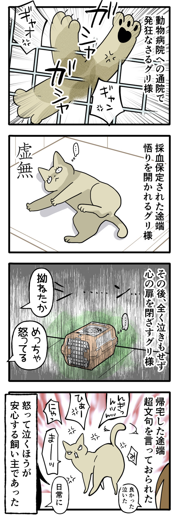グリさんの通院