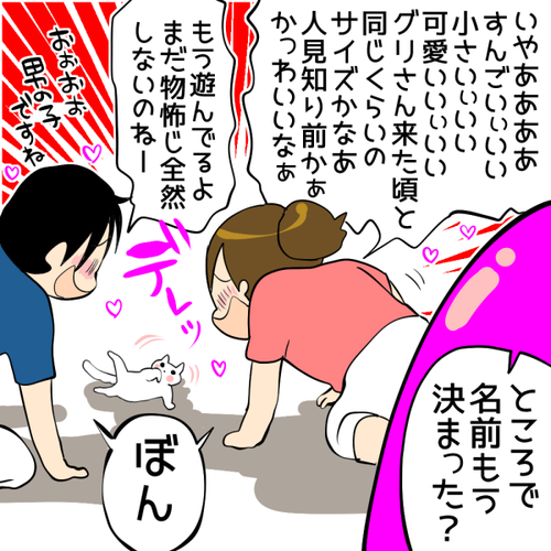 ぼん
