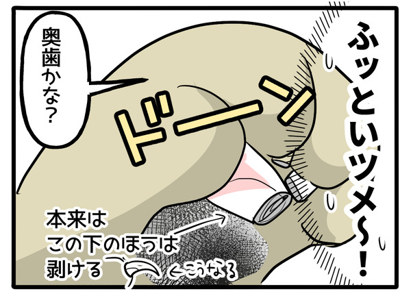 太い爪2