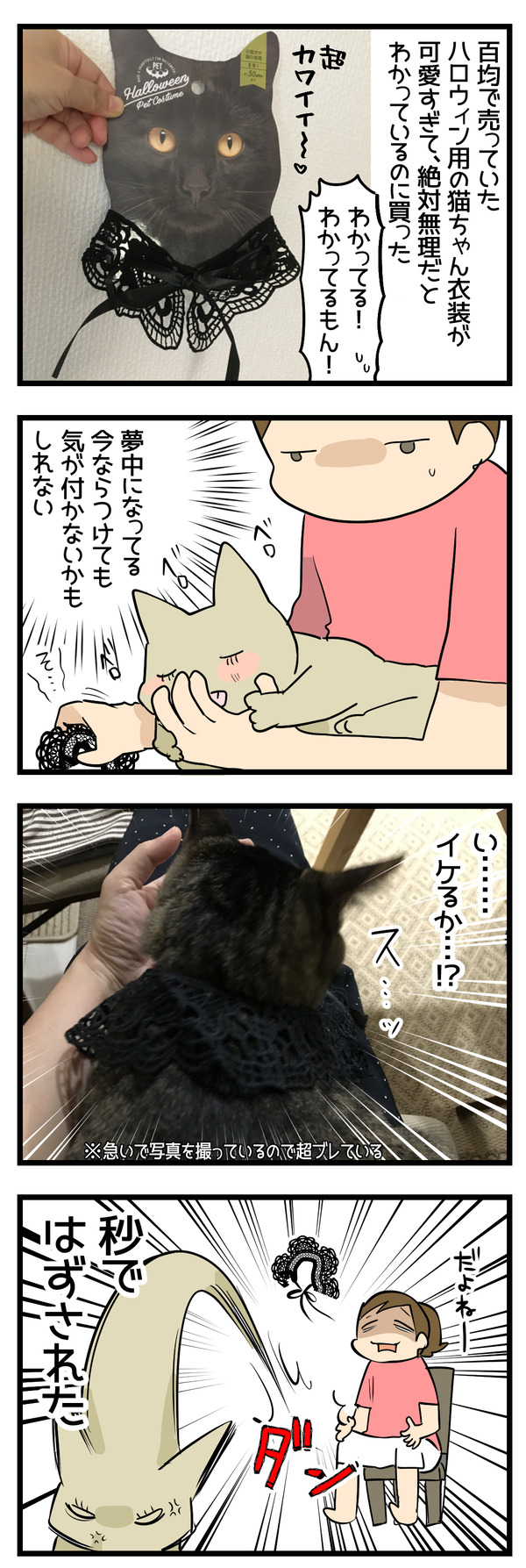 つけてみたい