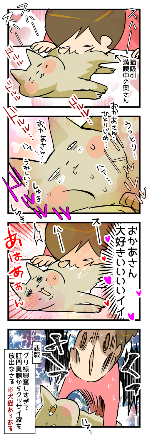 猫の臭腺