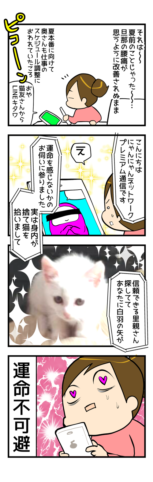 それは突然の出来事じゃった