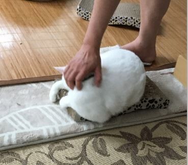 キャプチャ4