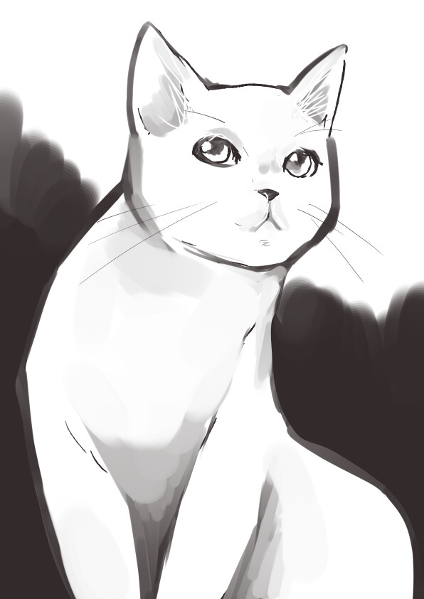 ネコちゃん