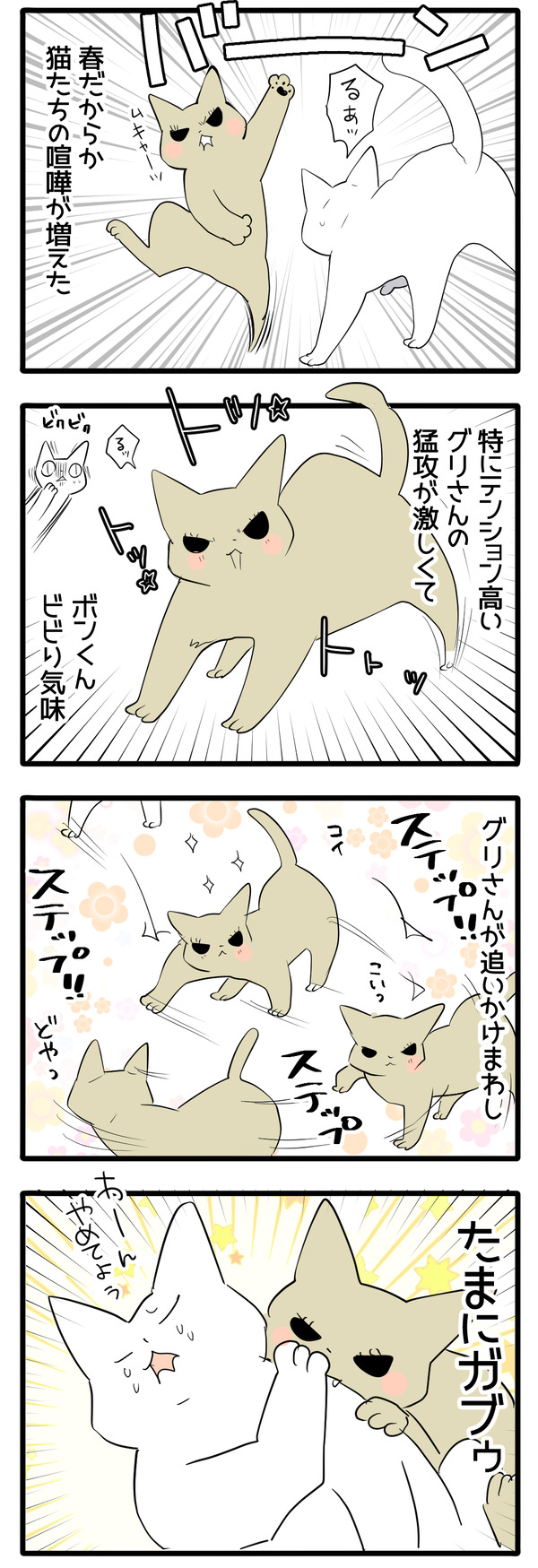 猫の誘い方