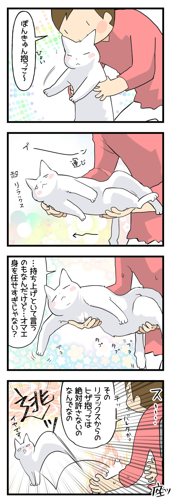 どんなこだわりなの