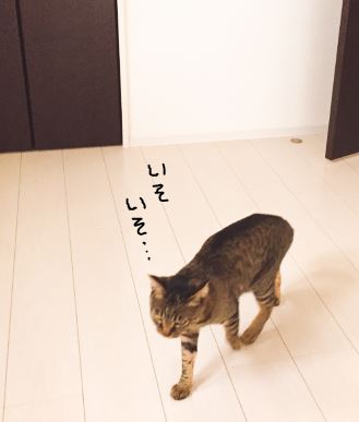 キャプチャ