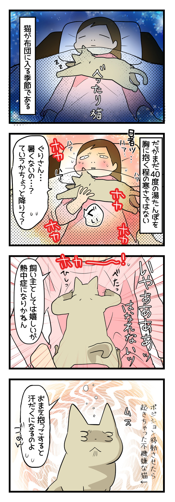 ねこすごい