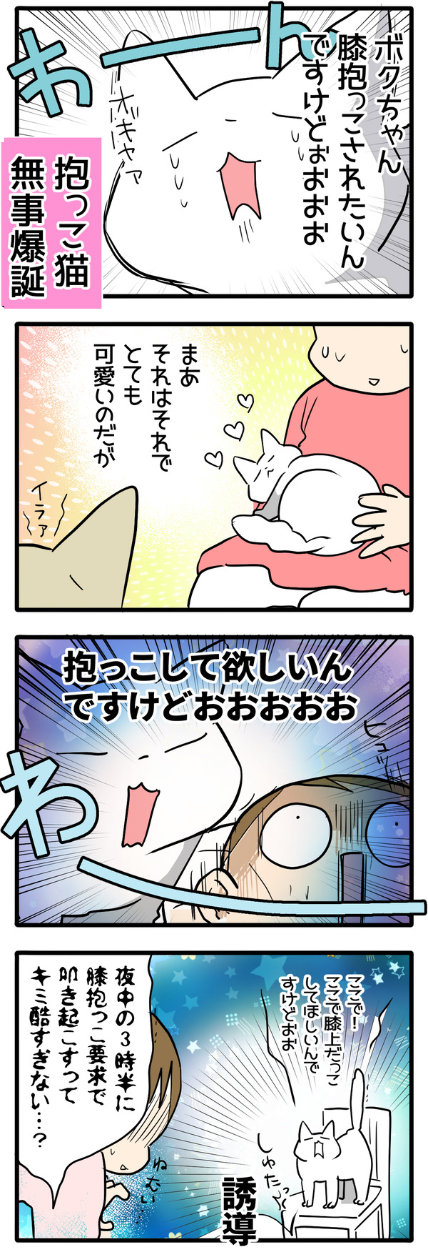 猫の要求激しくなっていくタイプ2