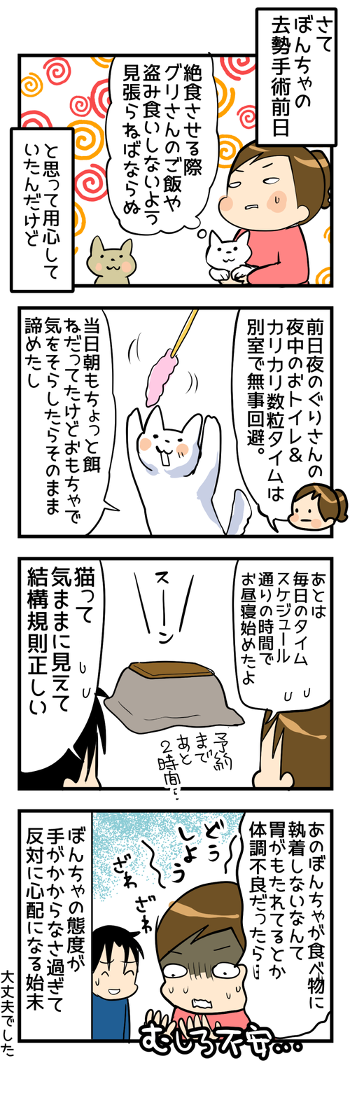 去勢2