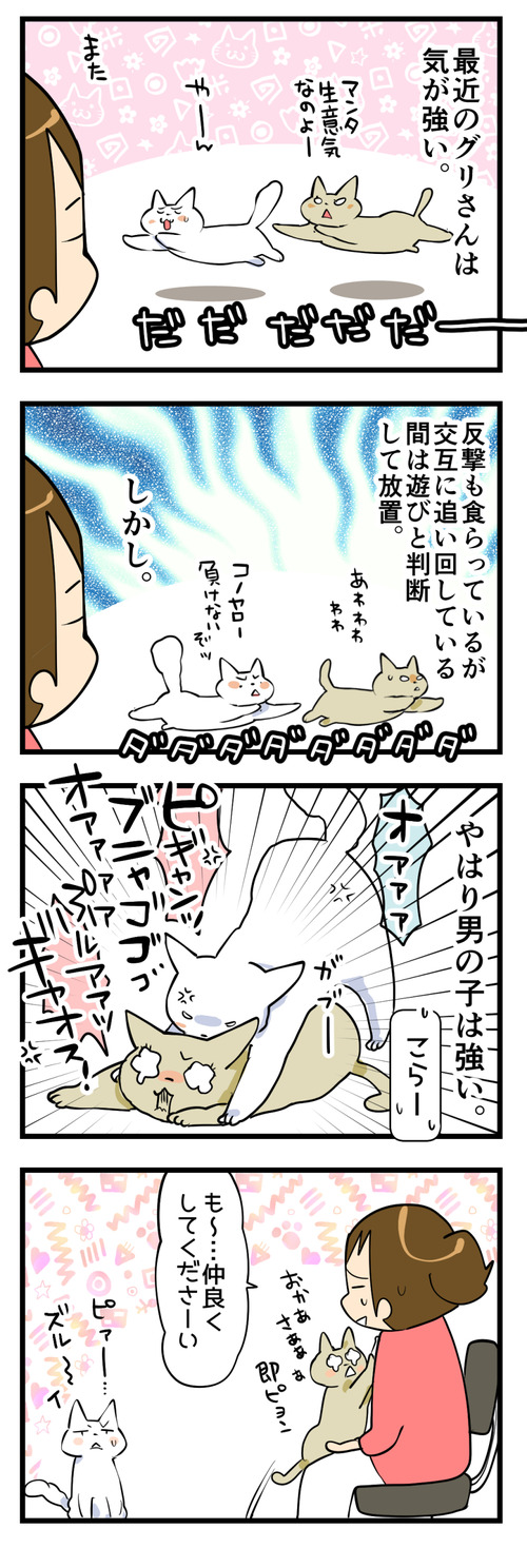 気の強い女