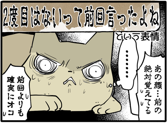 29日