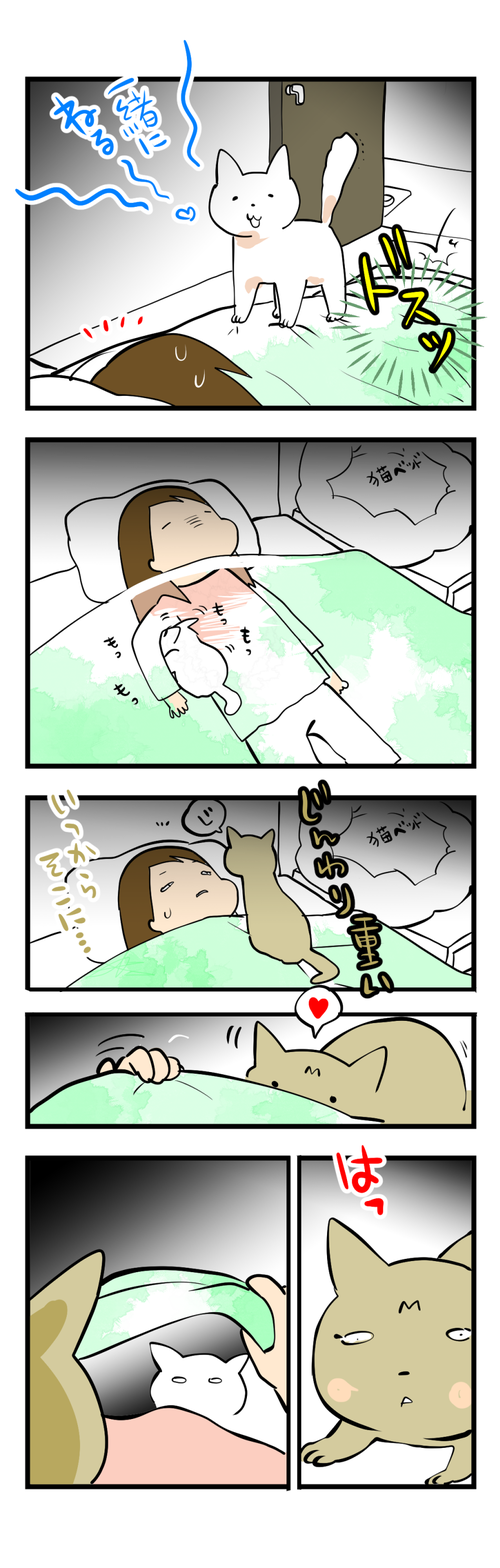 なにかいる
