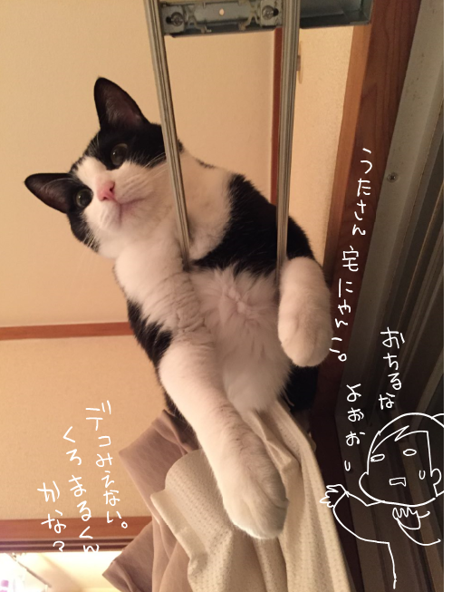 キャプチャ