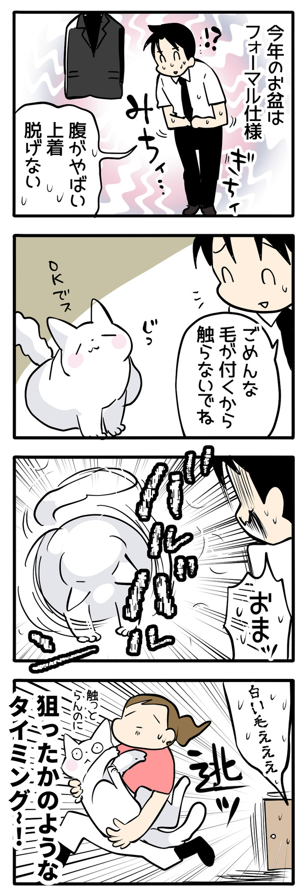 喪服と白猫