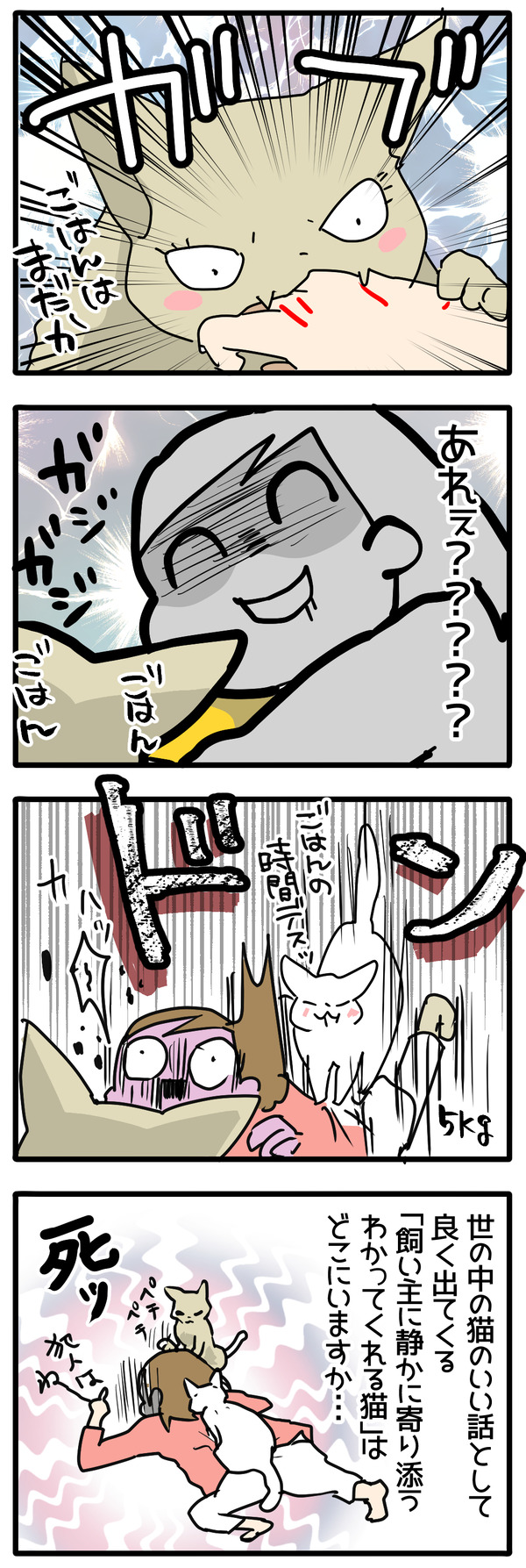 猫のやさしさ2