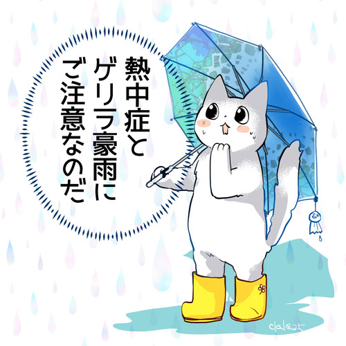 ゲリラ豪雨