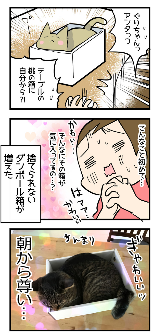 寝起きに食らう衝撃2